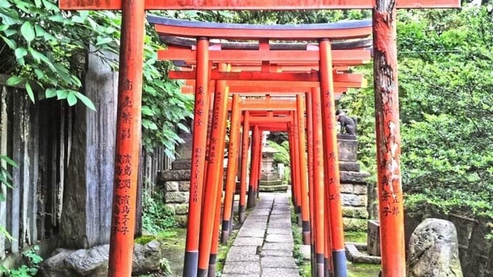 Un sentier bordé de portails torii rouges qui traverse une zone verdoyante et luxuriante.