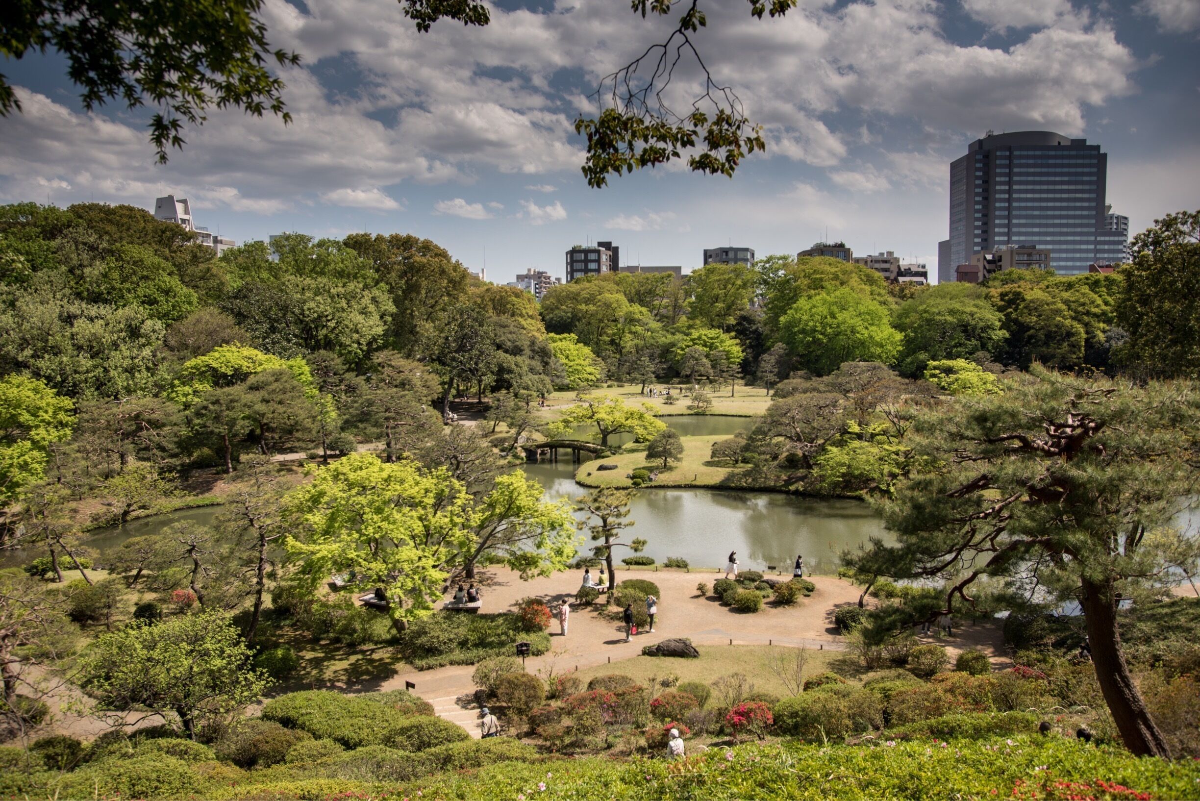 This garden is worth visiting all year round. Traditional style Japanese garden immaculately maintained