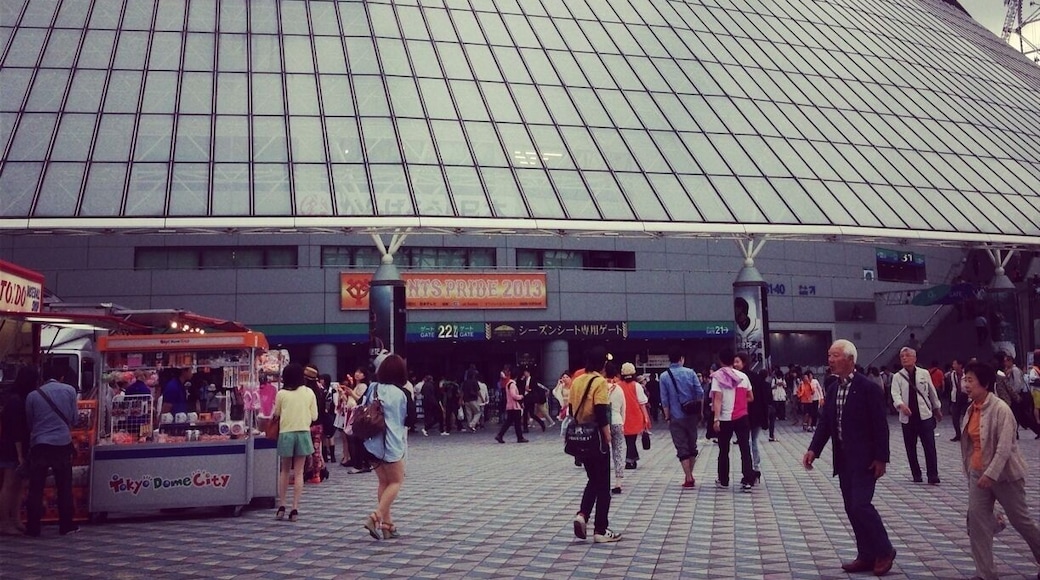 Tokyo Dome was opened as the first domed baseball field in Japan in 1988. Its white roof is supported by the air with higher pressure. Getting inside, you can feel the pressure to your ears but won't feel any uncomfortable. They host Tokyo Yomiuri Giants.