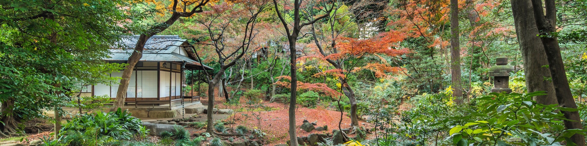 Ein traditioneller japanischer Garten mit einem hölzernen Pavillon, üppigem Grün und Bäumen in Herbstfarben.