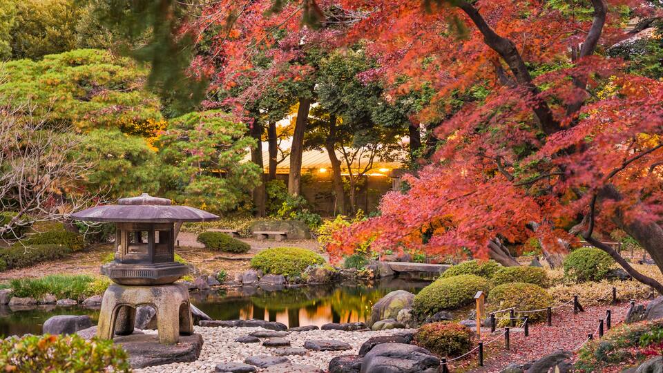 Ein friedlicher japanischer Garten mit Teich, Steinlaterne und leuchtendem Herbstlaub.
