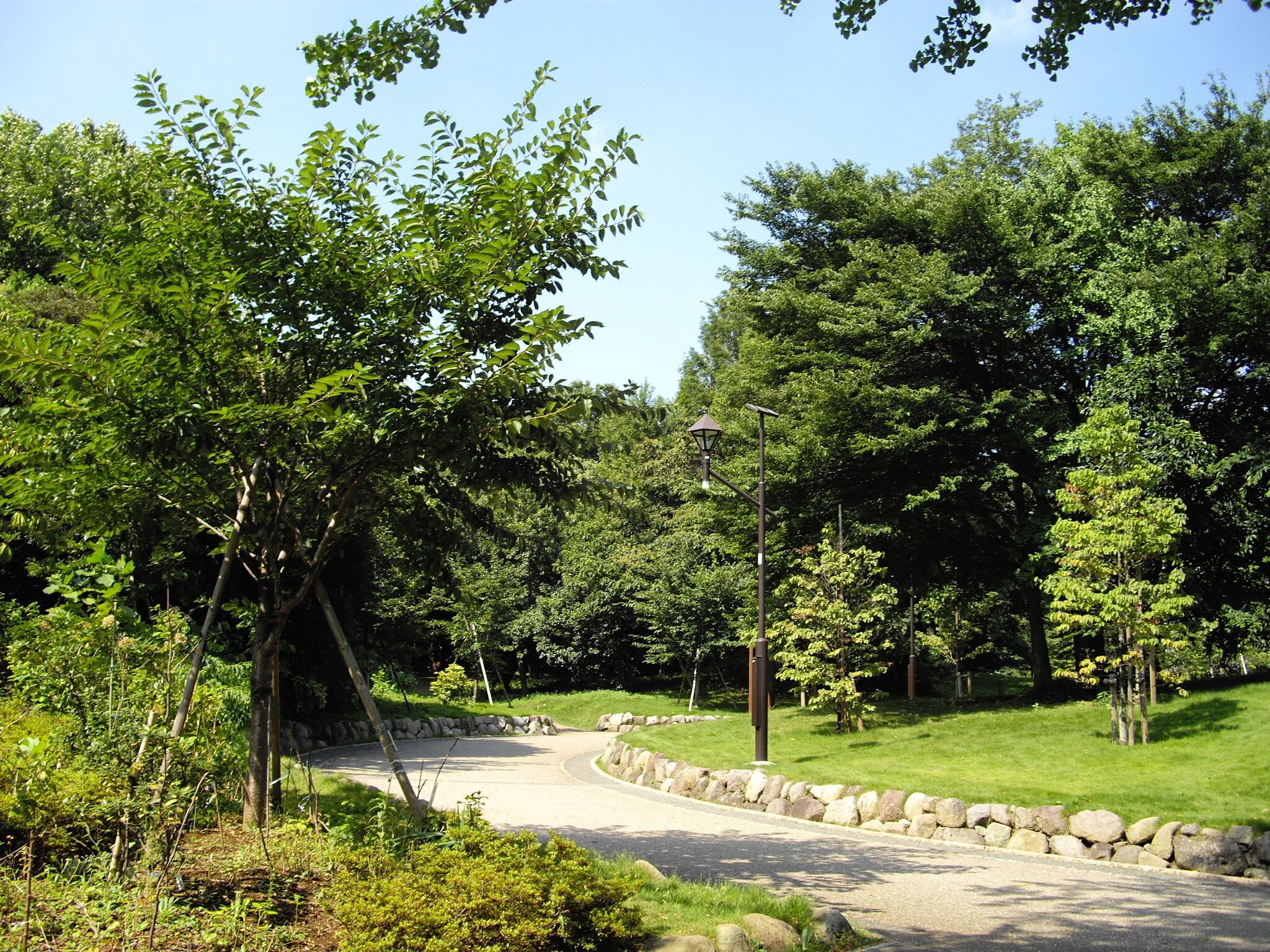 中野区立江古田の森公園