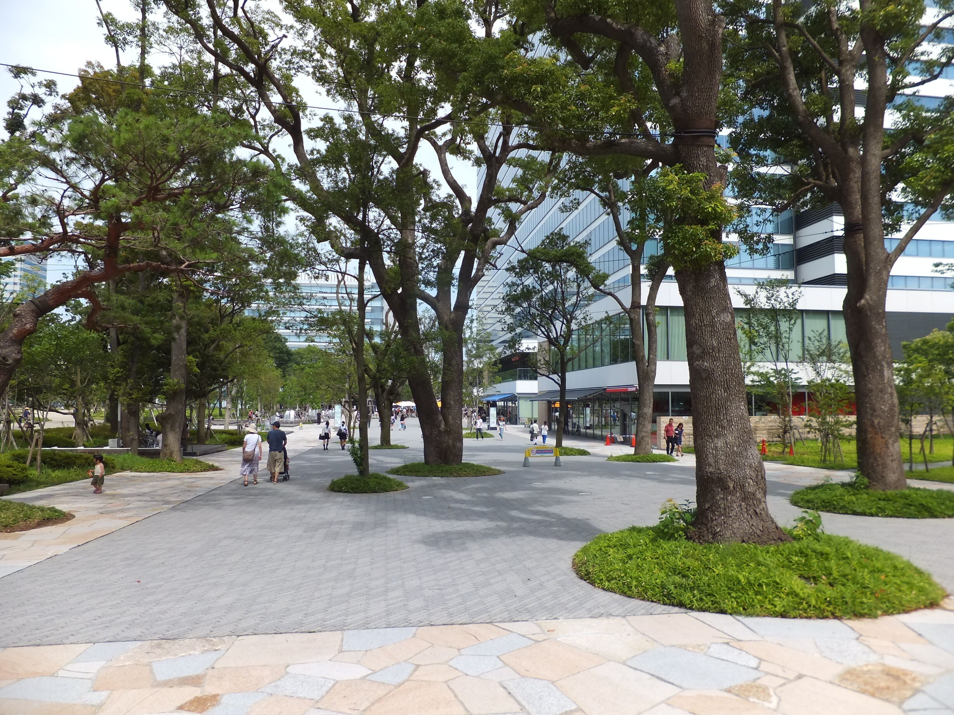 中野四季の森公園