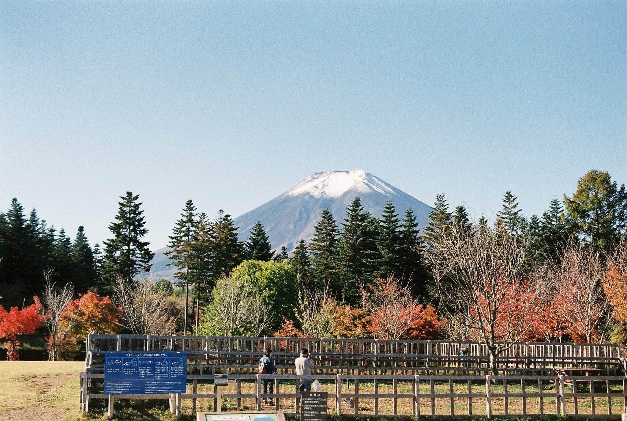 “คุณอาจจะไม่รู้ว่าการเป็นผู้ให้โดยที่ไม่หวังอะไร สุดท้ายคุณกลับได้เป็นผู้รับโดยไม่รู้ตัว! “ たまにはゆっくりしたら。#Fujisan #tokyo #japan #vsco  #vscocam