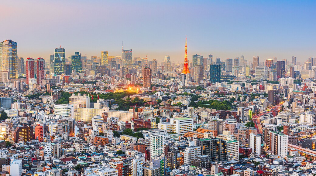 Tokyo, Japan Cityscape and Towers at Dusk