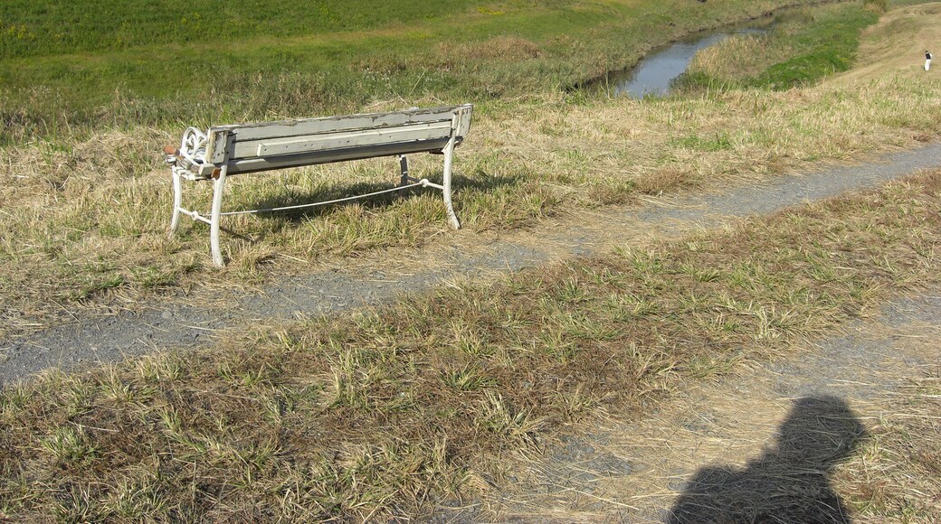 㩿 čéæČł-ăăłă