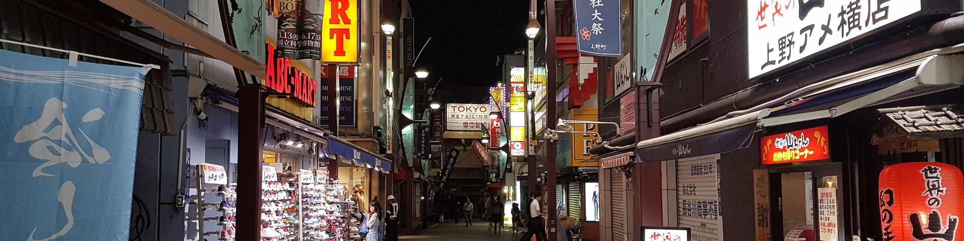 Here is a little street late at night near Akihabara and Ueno park.
#japan #tokyo #akihabara #city #streets #neon #lights #night #shops #restaurants