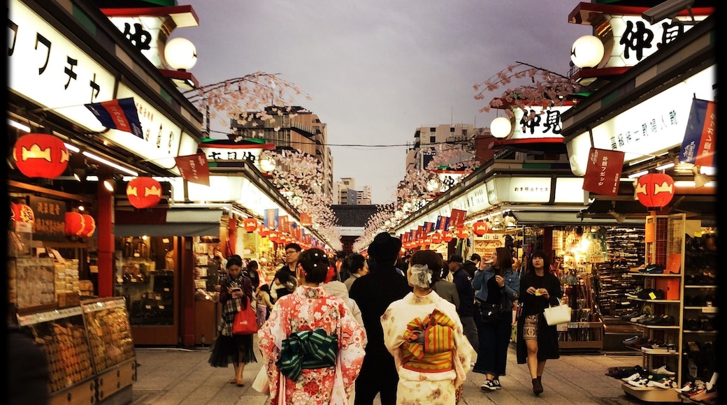 shopping in asakusa, japan
april 2017