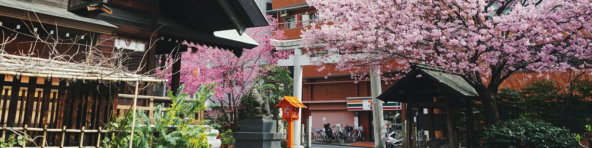 A traditional Japanese building with a wooden structure and a cherry blossom tree in the foreground.