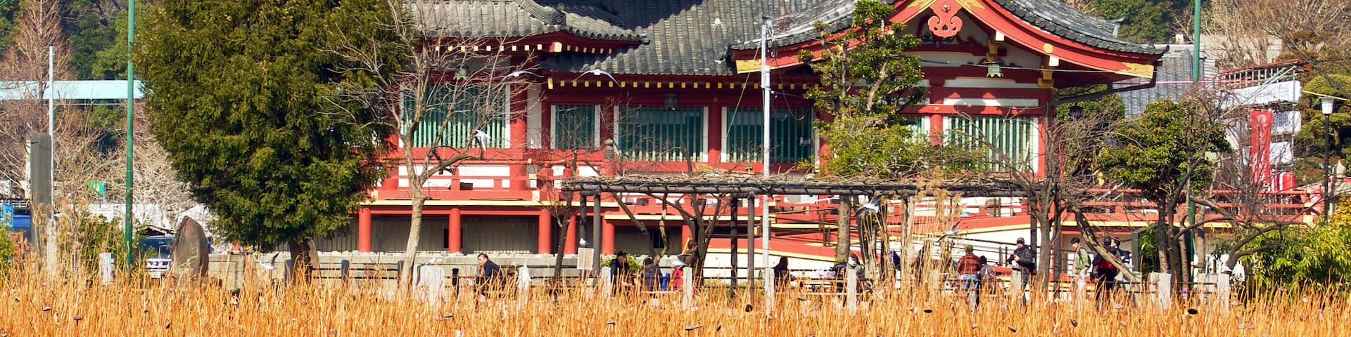 Shinobazunoike Bentendo Temple in Ueno Onshi Park, Tokyo, Japan.