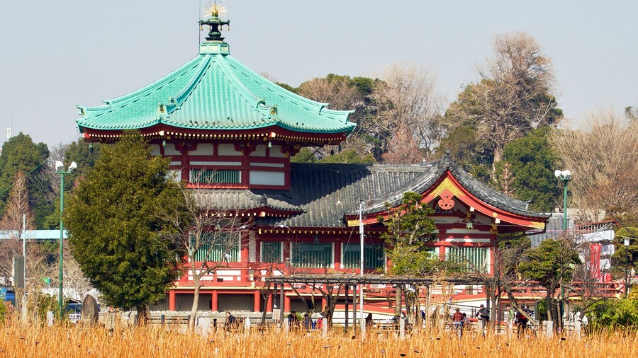 Shinobazunoike Bentendo Temple in Ueno Onshi Park, Tokyo, Japan.