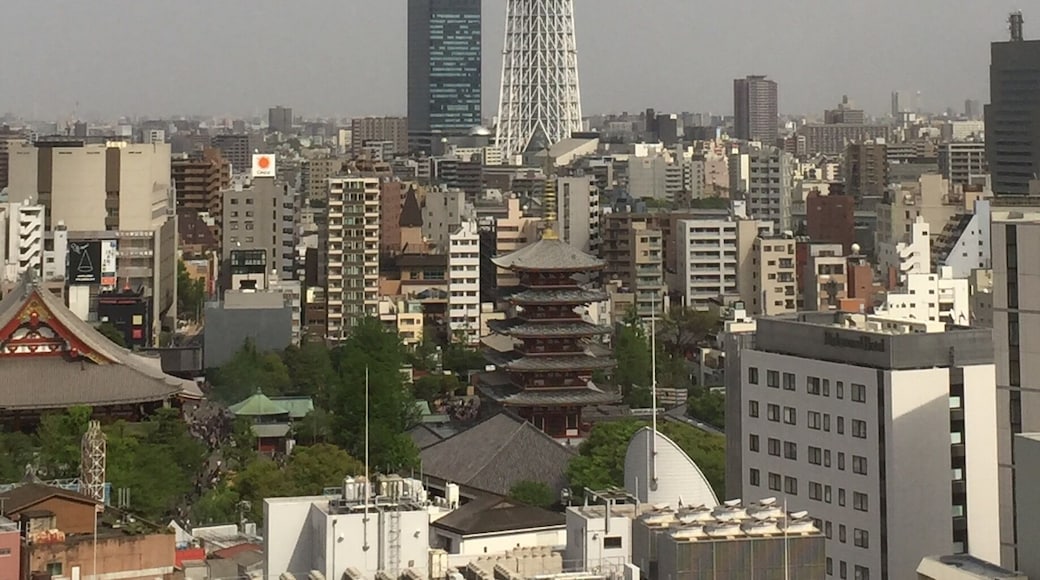 View of the Tokyo Sky Tree.
