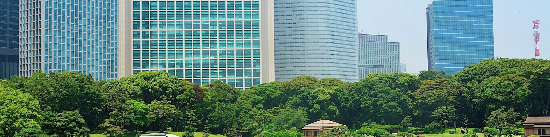 The Hamarikyu garden is a lovely green space within Tokyo city limits.