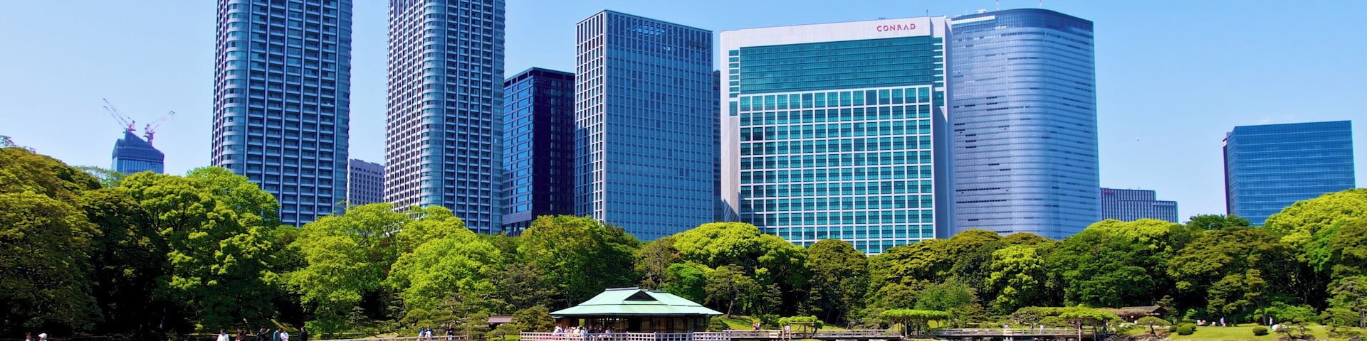 Hama-rikyu Gardens (Spring)