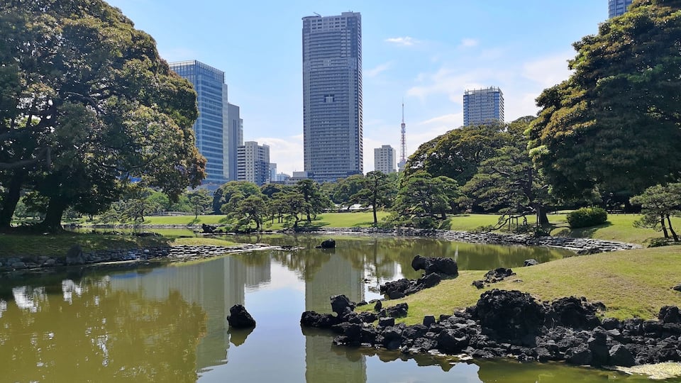 Hamarikyu is one of my favourite places in Tokyo. Surrounded by skyscrapers, this garden is a true oasis. Stroll the many paths, bring a picnic or take a break at the tea house where you can try matcha and wagashi (traditional Japanese sweets). You can also combine a visit to Hamarikyu with a trip along the Sumida River to Asakusa.