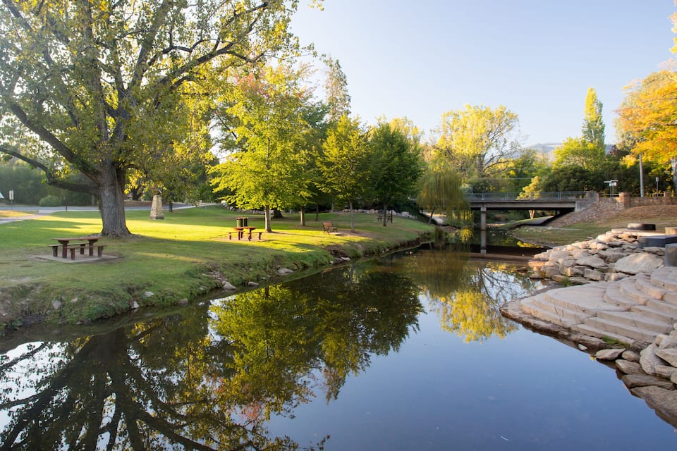 A park with a pond, picnic tables, a stone bridge, and autumn trees.
