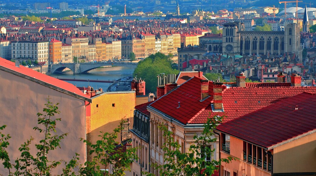 克羅阿魯斯酒店