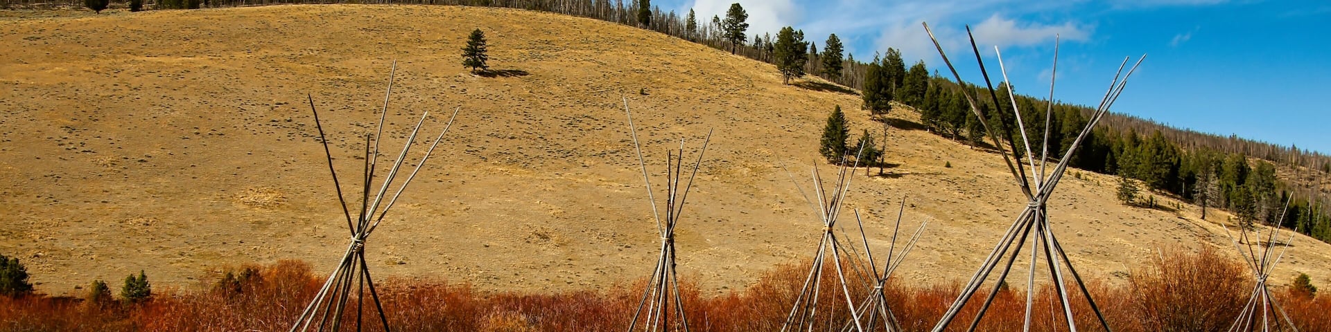 A grassy field with several tipi structures and a forested hill in the background.