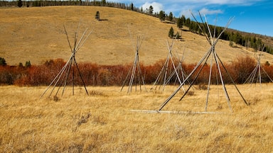 A grassy field with several tipi structures and a forested hill in the background.
