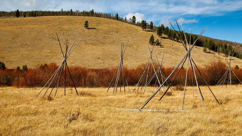 A grassy field with several tipi structures and a forested hill in the background.