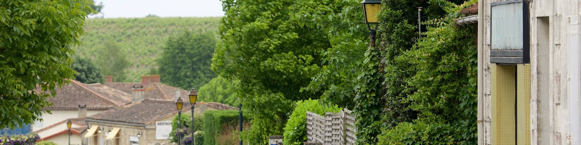 Sauternes showing a garden and a small town or village