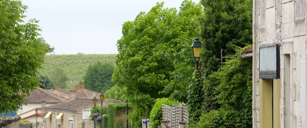 A narrow street lined with traditional buildings, a stone wall, and lush greenery.