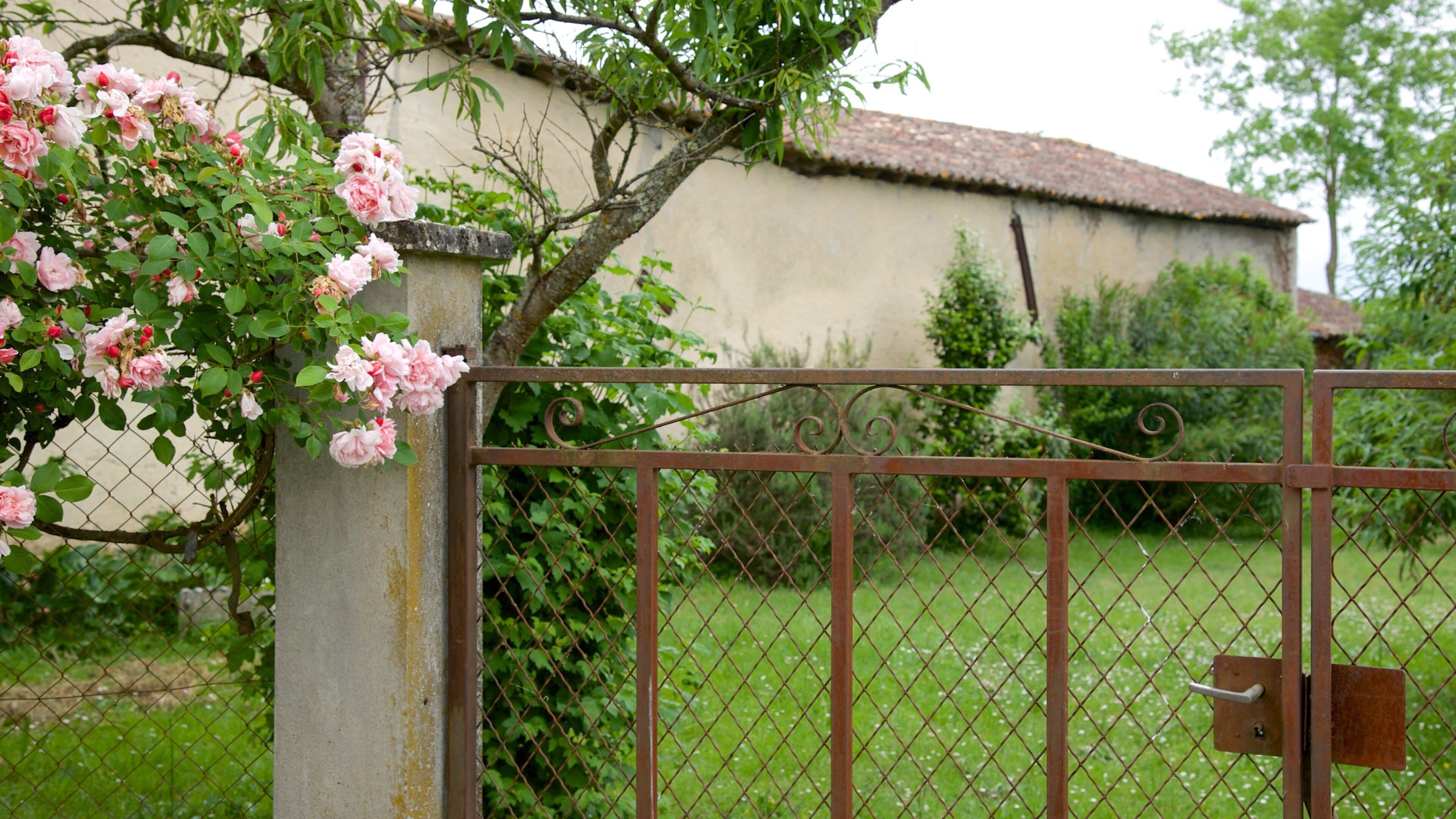 Sauternes inclusief bloemen en een tuin