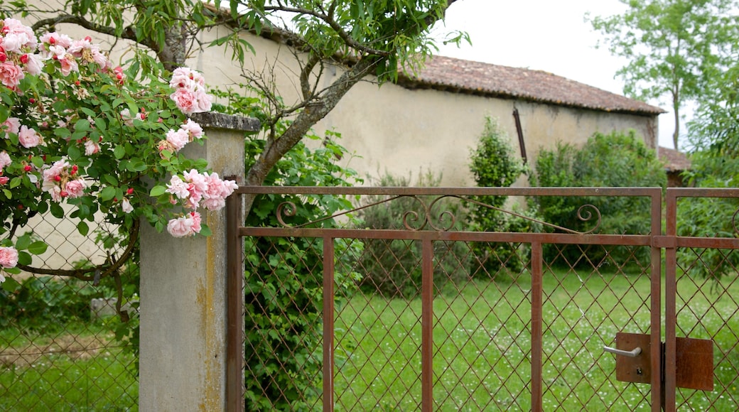 Sauternes que incluye flores y un parque