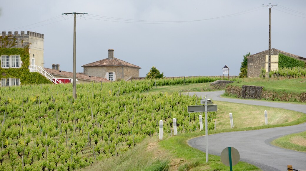 Sauternes ofreciendo tierras de cultivo