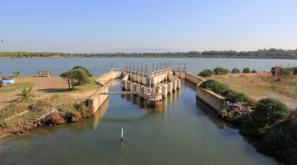 Terralba - Peschiera di Marceddì