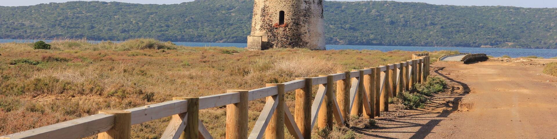 A dirt road leading to a stone tower by a lake.