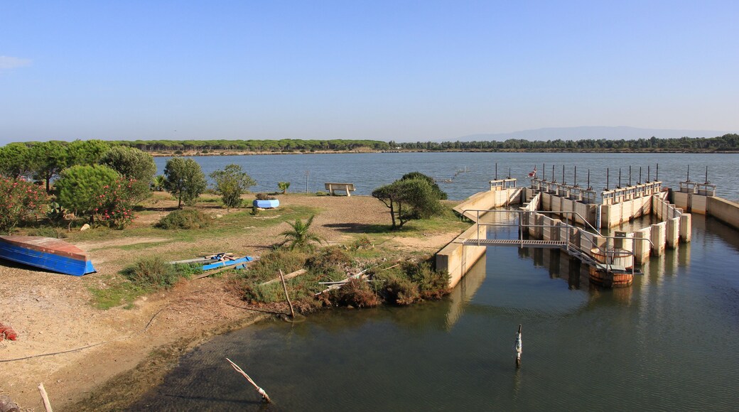 Terralba - Peschiera di Marceddì