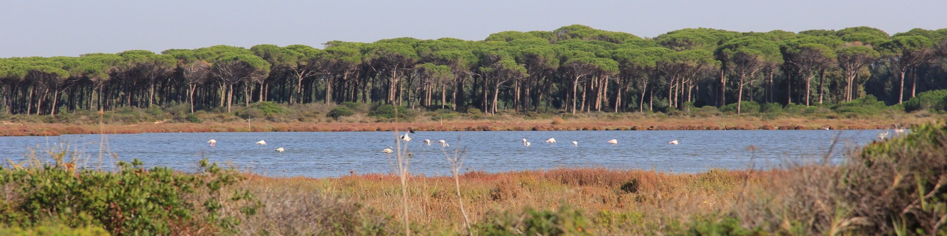 Terralba - Peschiera di Marceddì