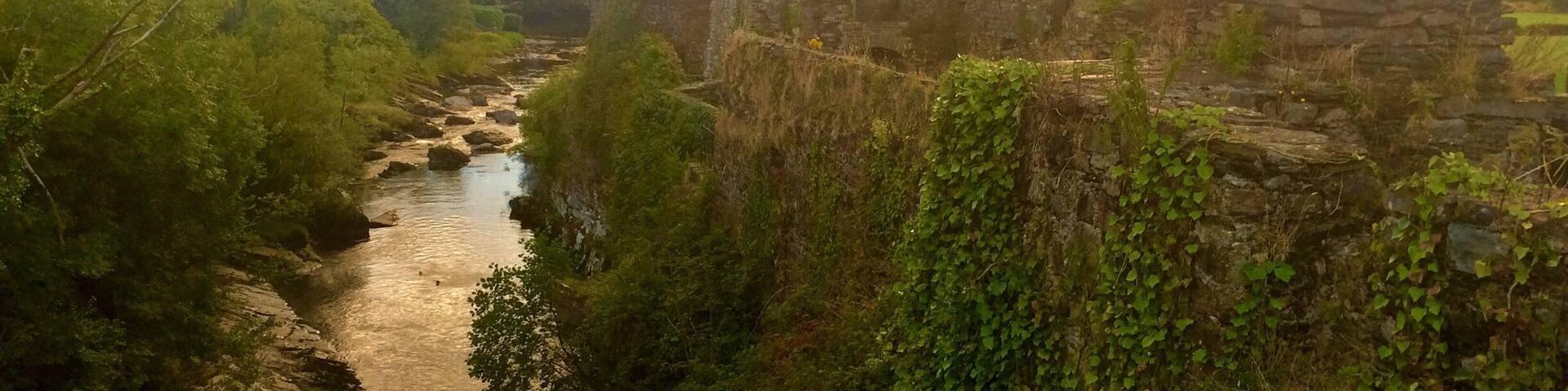 Carriganass Castle is a 16th-century tower house in County Cork. It is situated about 8 kilometres north-east of Bantry, close to the village of Kealkill, in West Cork.