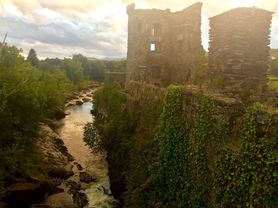 Carriganass Castle is a 16th-century tower house in County Cork. It is situated about 8 kilometres north-east of Bantry, close to the village of Kealkill, in West Cork.