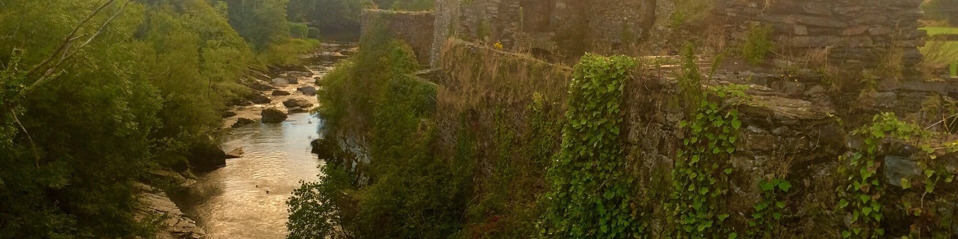 Carriganass Castle is a 16th-century tower house in County Cork. It is situated about 8 kilometres north-east of Bantry, close to the village of Kealkill, in West Cork.