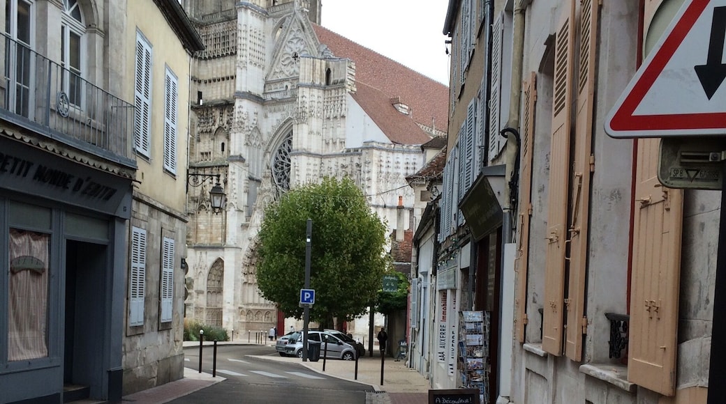 A lovely city that we haven't had a chance to explore much (it's where we catch the train to Paris when we've visited friends in Bourgogne), but I hope we can remedy this soon. This is a view of the cathedral.