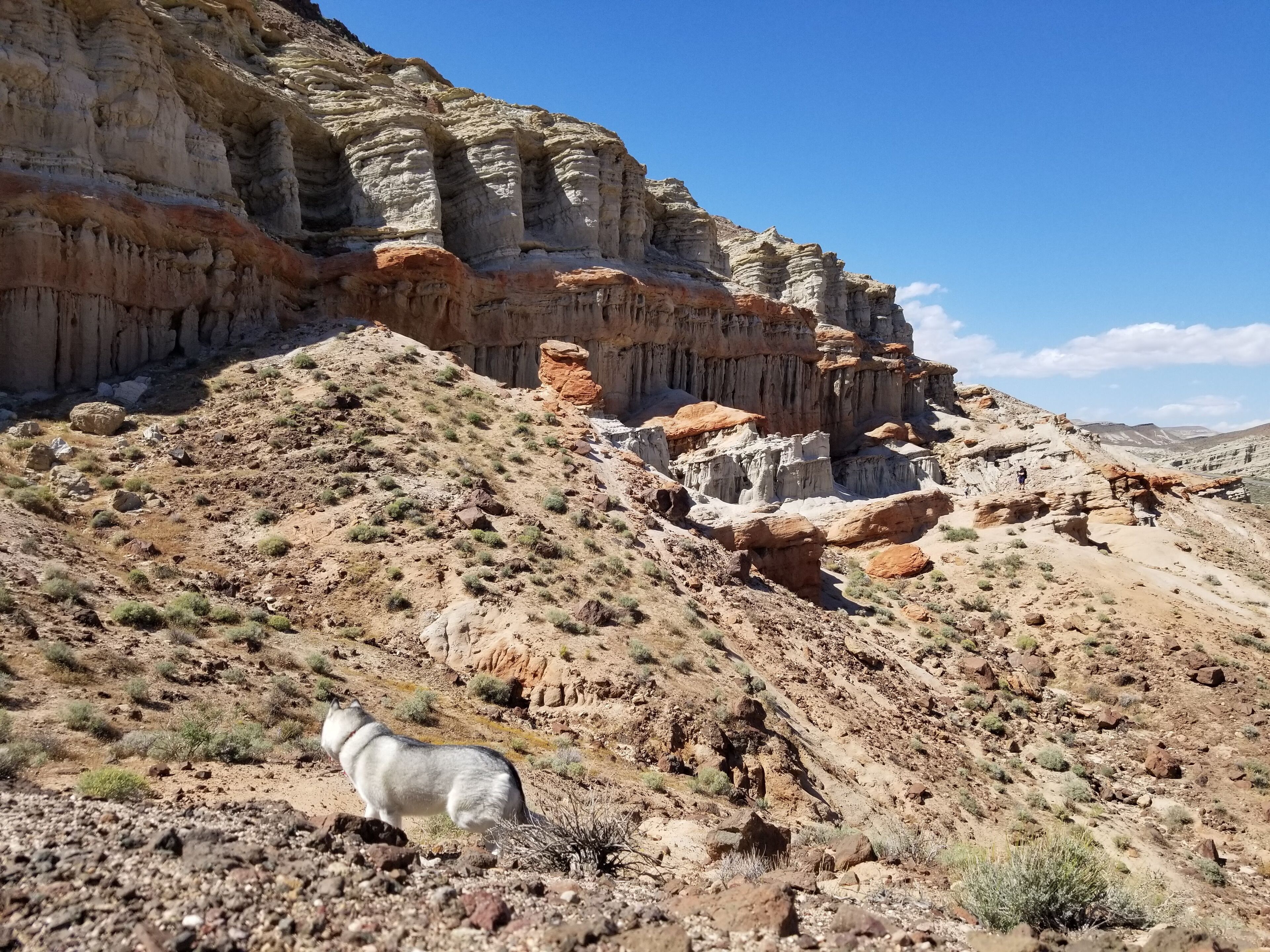 "My life is shaped by the urgent need to wander and observe, and my camera is my passport."
-Steve McCurry