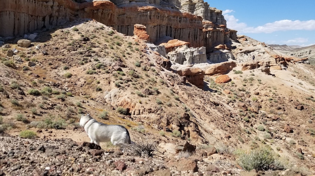 "My life is shaped by the urgent need to wander and observe, and my camera is my passport."
-Steve McCurry