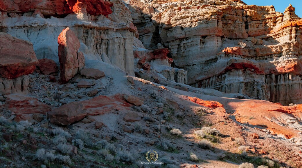 2020 of Feb 1st - Red Rock Canyon State Park, California