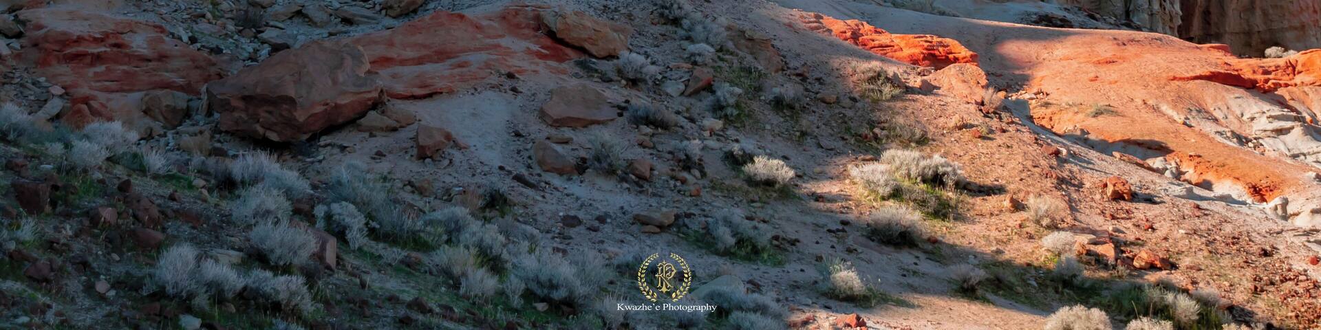 A rugged canyon with layered rock formations and sparse vegetation.