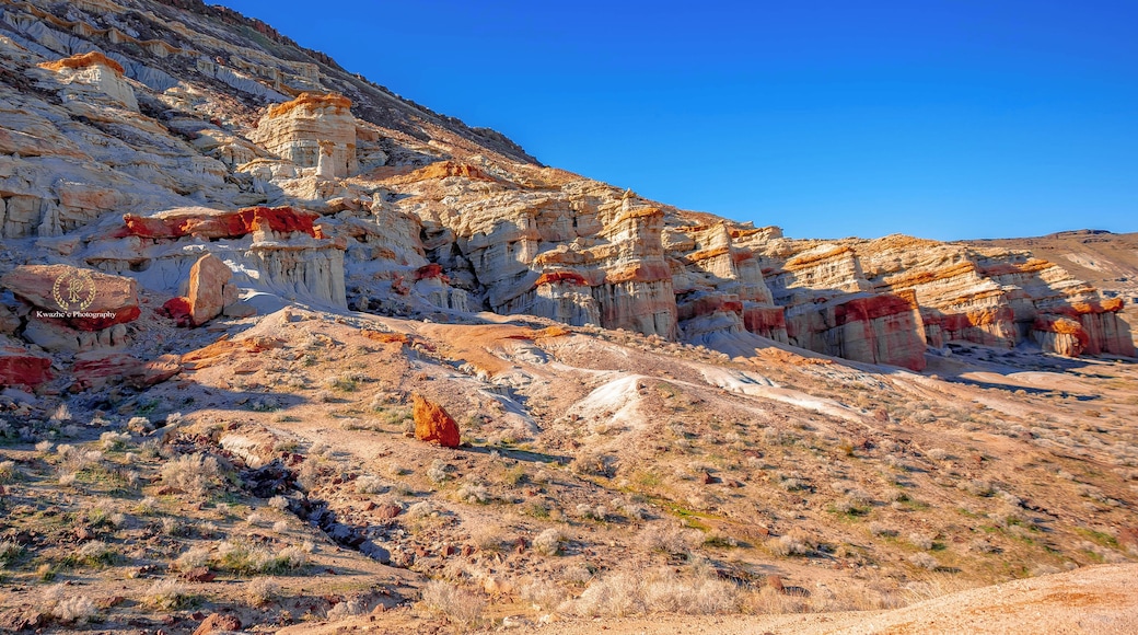 2020 of Feb 1st - Red Rock Canyon State Park, California