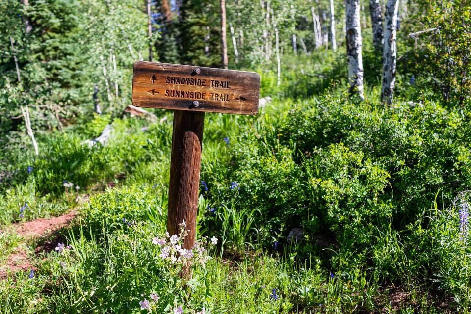 A wooden trail sign with directions to Shadyside Trail and Sunnyside Trail in a forested area.