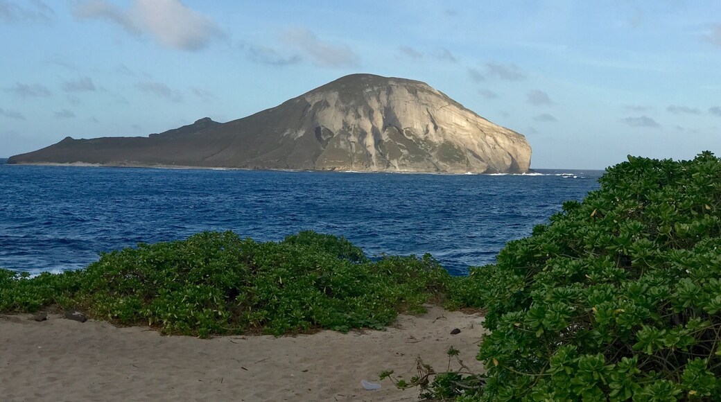 View of Rabbit Island from Sealife Park on Oahu.