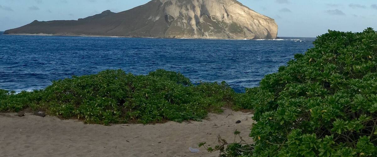 View of Rabbit Island from Sealife Park on Oahu.