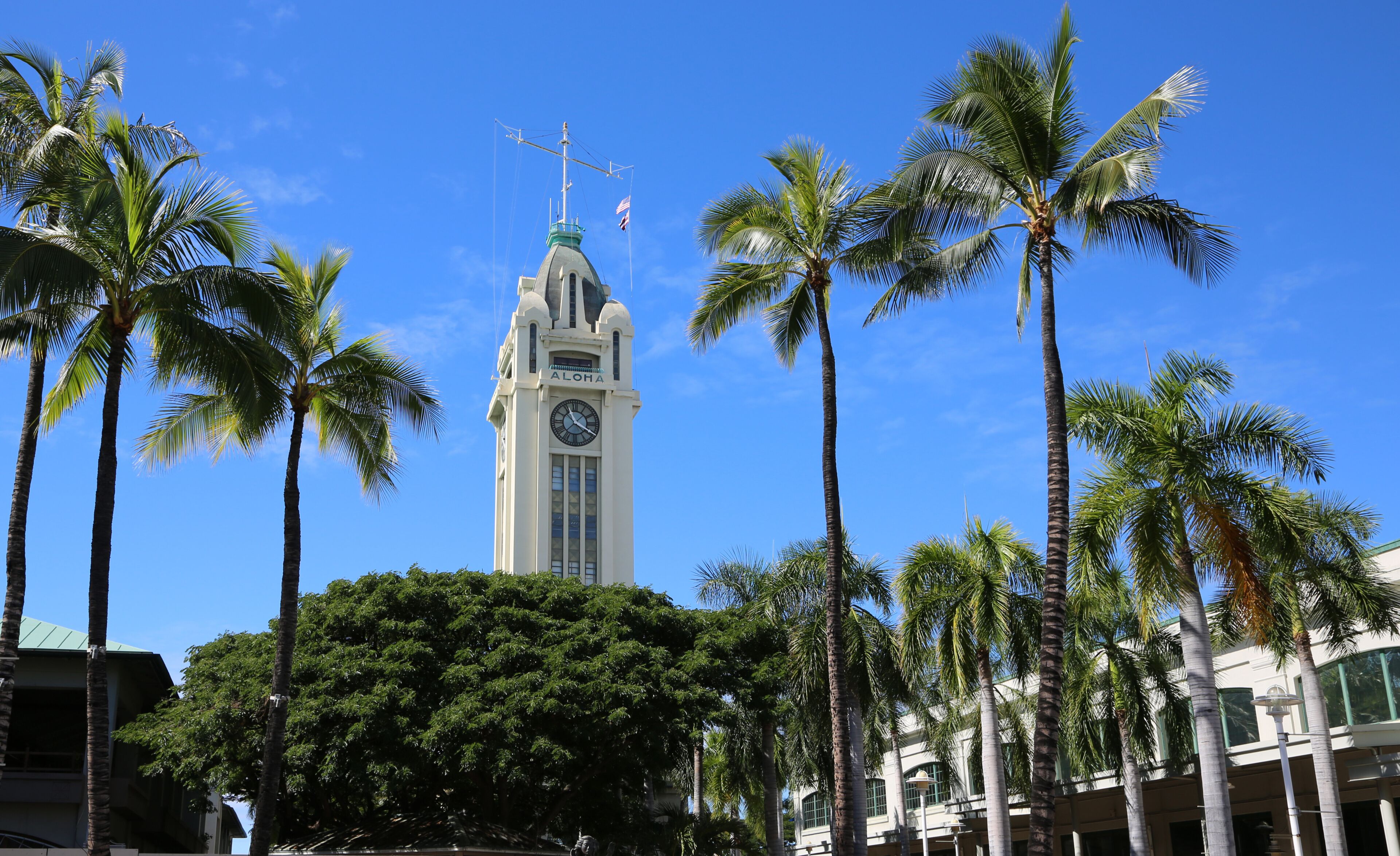 A clock tower with 'ALOHA' written on it, surrounded by palm trees and buildings.