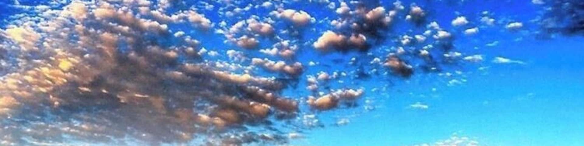 Our sanctuary #Culture