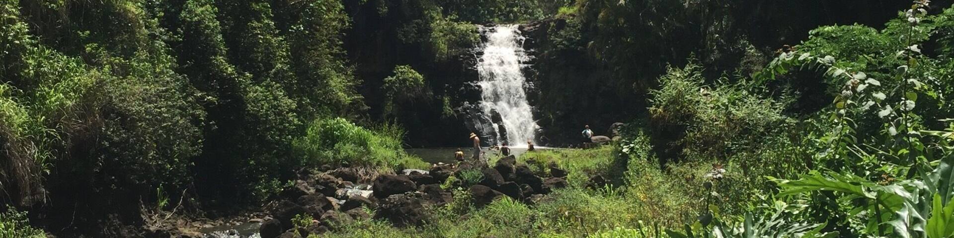 A lush green valley with a waterfall cascading down a rocky cliff.