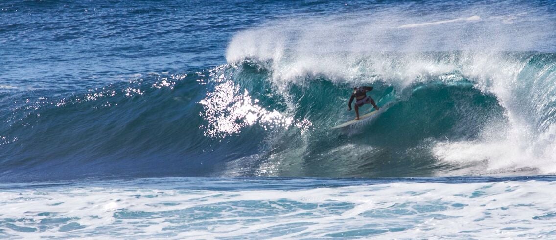 Back door opens for this daring soul...taking shelter...