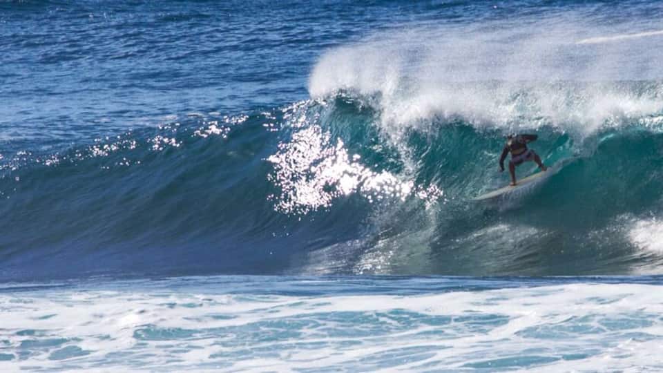 Back door opens for this daring soul...taking shelter...